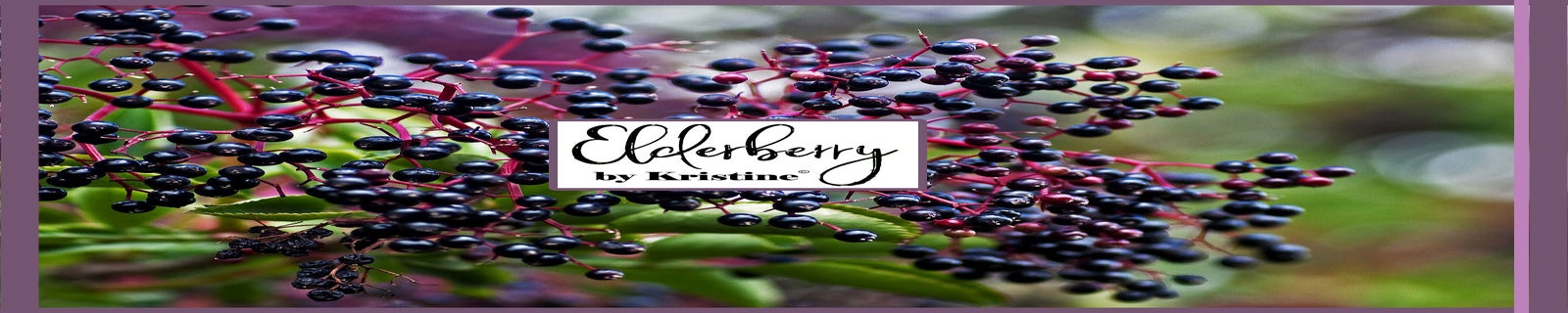 Elderberry Hot Chocolate – G.R.A.C.E. Elderberry Co. LLC